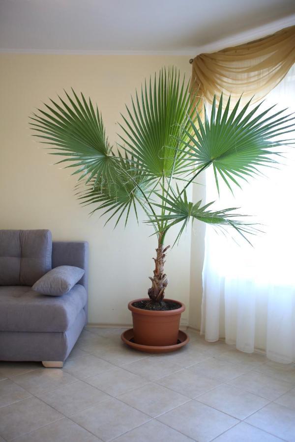 Villa Livia Boutique Apartments Ravda Kültér fotó